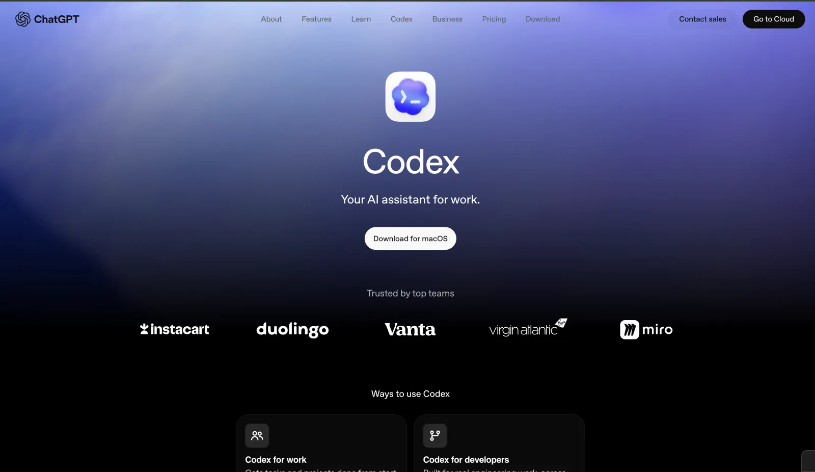 Codex CLI — product screenshot